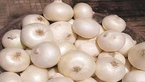 Onion Export News | लाल कांदा उत्पादकांवर सरकारकडून अन्याय, केवळ पांढऱ्या कांद्याच्या निर्यातीला परवानगी दिल्याने शेतकरी संतप्त