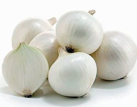 गुजरातमधून 2 हजार टन पांढरा कांदा निर्यात होणार : महाराष्ट्रातील शेतकरी नाराज