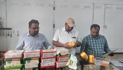 नाशिक : त्र्यंबकेश्वर मंदिर परिसरातून भेसळयुक्त पेढे तसेच बर्फी जप्त करताना अन्न-औषध प्रशासनाचे अधिकारी.