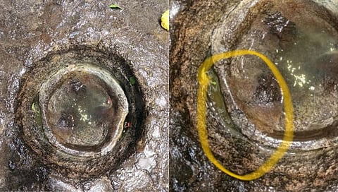 नाशिक : त्र्यंबकराजाच्या शिवपिंडीचा वज्रलेप निखळला