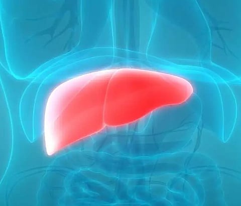 विश्व यकृत दिन विशेष : मद्यपानामुळे यकृताला ‘हा’ मोठा धोका