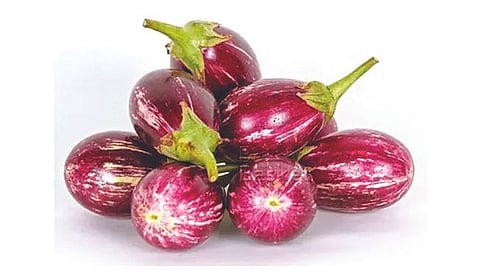 BRINJAL : मेंदूच्या आरोग्यासाठीही वांगी गुणकारी