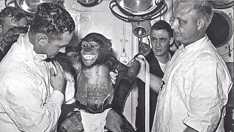 अंतराळात जाण्यापूर्वी ‘या’ चिम्पान्झीने घेतले होते 18 महिन्यांचे ट्रेनिंग