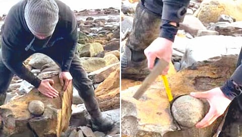 समुद्र किनार्यावरील अनोखी चीजवस्तू