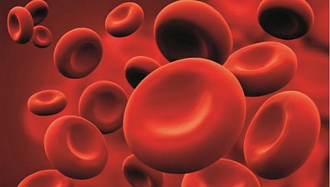 Hemoglobin : हिमोग्लोबिनची कमतरता आणि स्त्रियांच्या समस्या