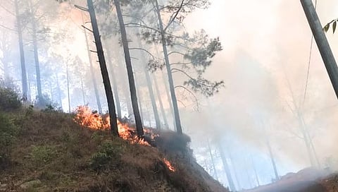 Uttarakhand Forest Fire