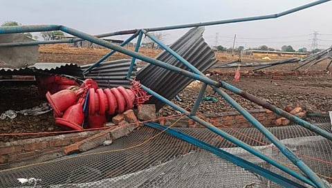 Beed News : पांढऱ्याचीवाडी येथे वीज पडून चार जनावरांचा जागीच मृत्यू