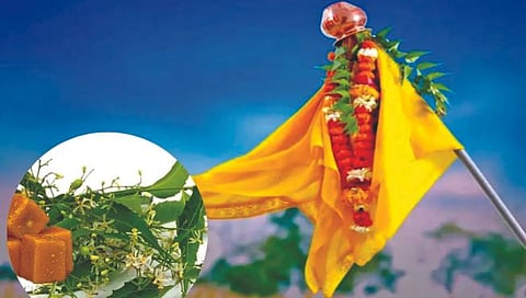 Gudi Padwa 2024 : गुढीपाडव्याला कडुनिंब-गूळ का खातात?