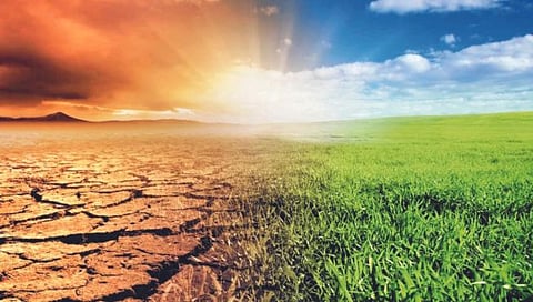 तापमानवाढीचा तडाखा