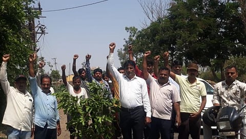 कोल्हापूर: शिये फाटा येथील रस्त्यासाठी शेतकरी संघटनेचे खड्ड्यात वृक्षारोपण