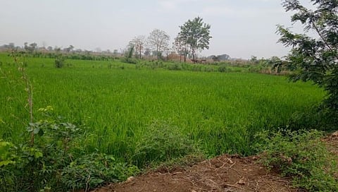 Unseasonal Rains : चंद्रपुरात अवकाळी पावसाचा तडाखा; उद्या पुन्हा यलो अलर्ट