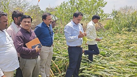 जळगाव: जिल्हाधिकाऱ्यांकडून जामनेर तालुक्यातील अवकाळीमुळे झालेल्या नुकसानीची पाहणी