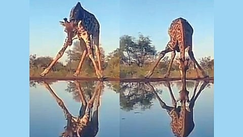 कसरत पाणी पिण्याची!