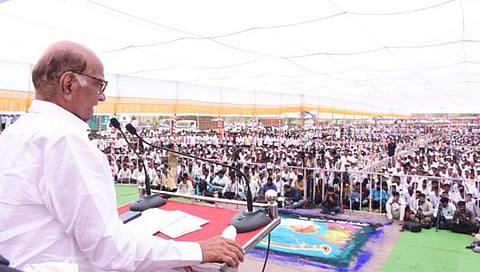 शरद पवार