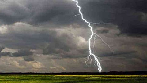 बीड : परळीत जोरदार पाऊस; वीज कोसळून म्हशीचा मृत्यू