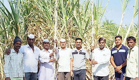 यशोगाथा ! चाचर कुटुंबाने घेतले उसाचे विक्रमी उत्पादन