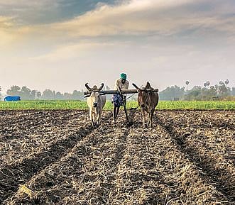 आता होणार उन्हाळी हंगामातील प्रत्येक पिकाची नोंद..