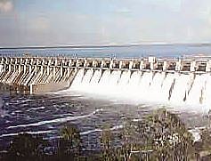 उजनी धरणाने गाठला तळ; दूषित पाण्याने तहान भागणार की..