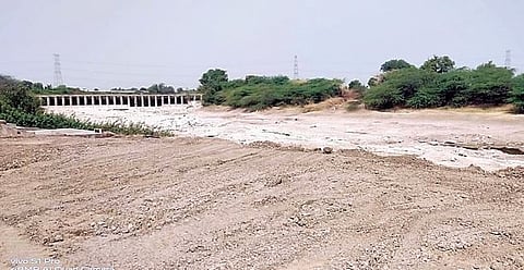 दुष्काळी व्यथा : पिके आणि शेतकरीही संकटात..