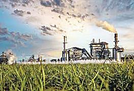 थकीत एफआरपीप्रश्नी कारवाई कुठे? निवडणुकीच्या धामधुमीत कारखान्यांवर कारवाई टाळली