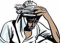 राजगडच्या शेतकर्यांची नुकसानभरपाई लालफितीचे ग्रहण; विमा कंपनी आणि प्रशासन सुस्त