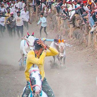 सातकरांच्या गाड्याने पटकाविला ‘घाटाचा राजा’ किताब..!