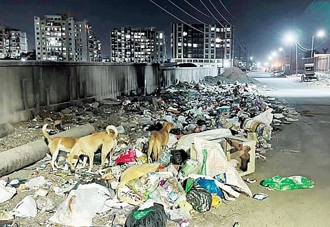 रस्ता.. कचरा, राडारोडा अन् दुर्गंधी ! नागरिकांचे आरोग्य धोक्यात