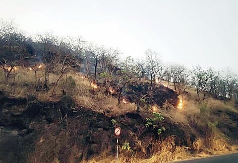 कात्रज घाटात वणवा! धूम्रपान करणार्यांमुळे वणवा लागण्याच्या घटना