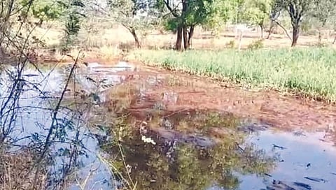 मालेगाव : दहिवाळ येथील शेतकरी विलास जगताप व बारकू जगताप यांच्या शेतात साचलेले पाणी व कांदा पिकातील वाहून गेलेली माती.