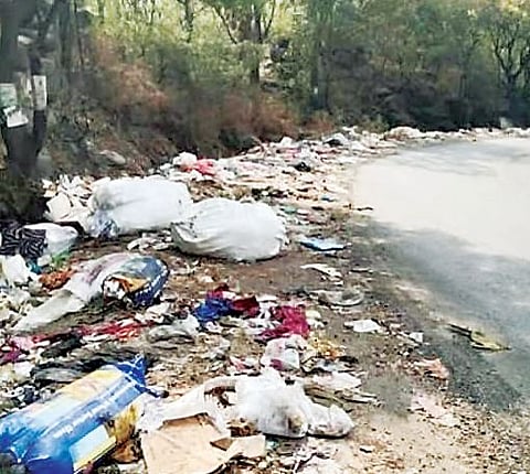 कात्रज घाटात कचराच कचरा! दुर्गंधीमुळे प्रवासी त्रस्त