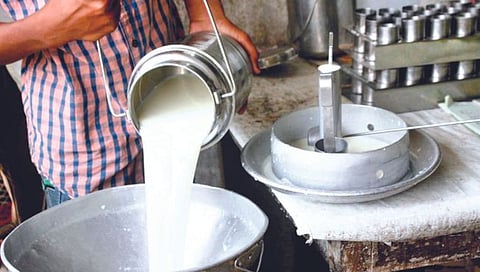 कोल्हापूर : दूध संस्थेचा चालक तोच मालक