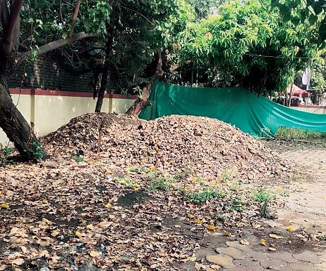 अण्णा भाऊ साठे सभागृहाची दयनीय अवस्था; कचरा, राडारोडा, मैलापाण्यासह विविध समस्या