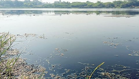 निरेच्या पाण्यात माशांची तडफड : प्रदूषणात मोठी वाढ