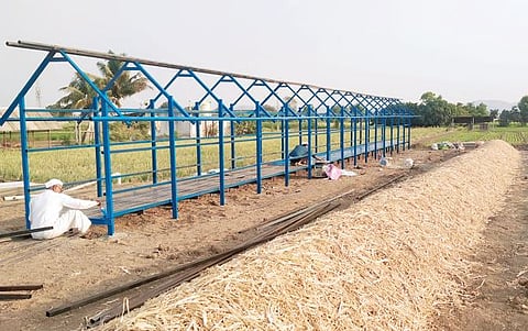 ढगाळ हवामानाने कांदा उत्पादकांची चिंता वाढली; बराकी बांधण्याची कामे सुरू