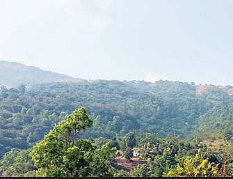 टेकपोळे येथे उभारणार वीज निर्मिती प्रकल्प; पानशेत धरण परिसरात जागेची पाहणी