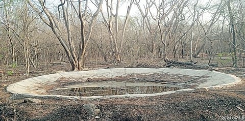 तळजाई टेकडीवरील पाणवठे कोरडेठाक; वन विभागाच्या दुर्लक्ष