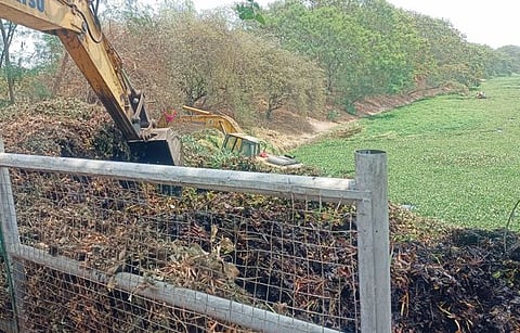 पाषाण तलाव जलपर्णीमुक्त होण्याच्या मार्गावर; 50 ते 60 टक्के परिसर स्वच्छ