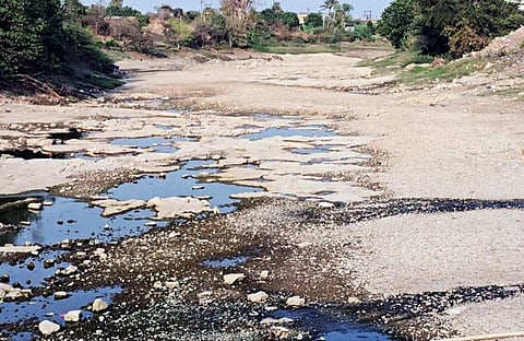 सावरगाव येथील बंधारा कोरडाठाक; पिके करपू लागल्याने शेतकरी चिंताग्रस्त