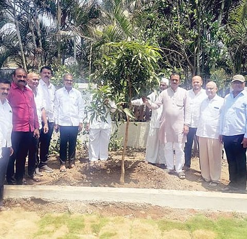 एक आदर्श असाही ! वृक्षलागवड करीत आईच्या अस्थी विसर्जित