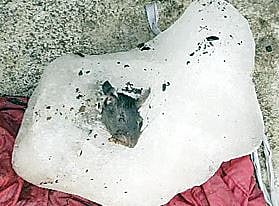 अखेर ‘त्या’ ज्यूस विक्रेत्याला एफडीएची नोटीस; बर्फात आढळला होता उंदीर