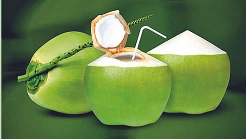 नारळपाणी पिण्याचे ‘हे’ आहेत फायदे
