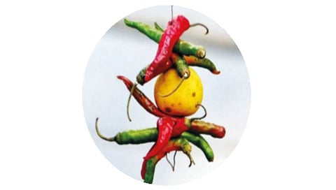 निवडणुकीत देव, अंगारा, भंडारा आणि भाकरीसुद्धा!