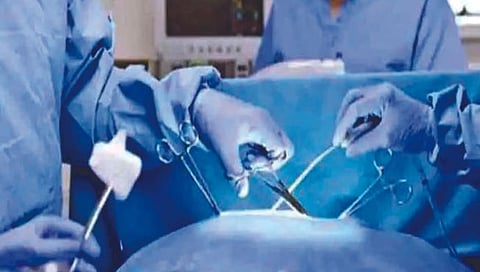 डुकराची किडनी, मेकॅनिकल पंपने वाचले महिलेचे प्राण