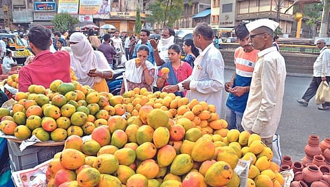 नाशिक : अक्षय्यतृतीयेनिमित्त विविध प्रकारचे आंबे बाजारात दाखल झाले असून, खरेदी करताना ग्राहक.
