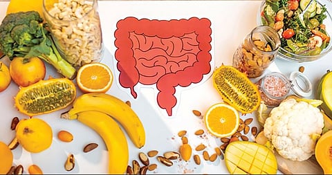 आतड्यांच्या आरोग्यासाठी ‘हे’ ठरते महत्त्वाचे...