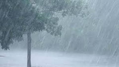 नाशिकमध्ये वळवाच्या पावसाचा तडाखा, ठिकठिकाणी बत्तीगुल