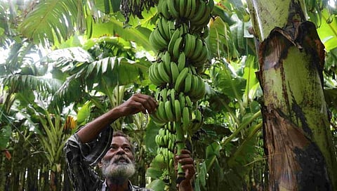 संग्रहित