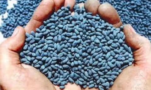 बीड : कापूस बियाण्यांची जादा भावाने विक्री केल्याप्रकरणी गुन्हा दाखल