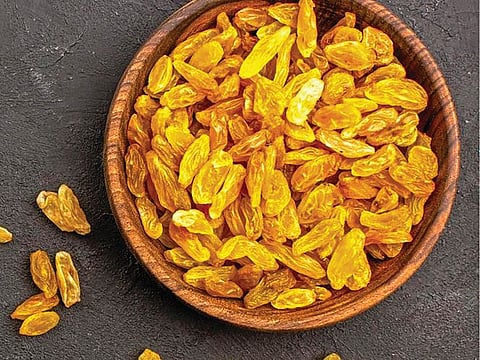 झोपण्यापूर्वी मनुका खाल्ल्याने होतात अनेक लाभ