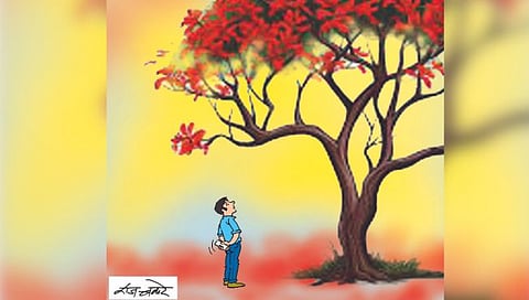 तडका : निसर्ग प्रेरणा…!